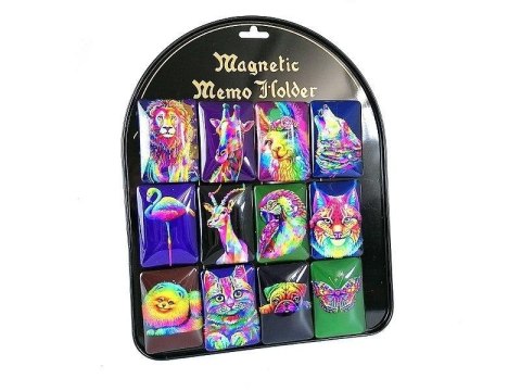 Magnes wypukły neon (12szt) Magnes wypukły neon (12szt)