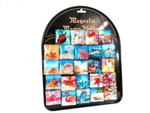 Magnesy morskie (24szt) Magnesy morskie (24szt)