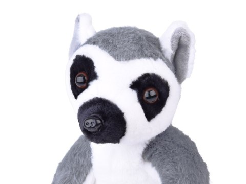 Maskotka duży pluszowy Lemur z Madagaskaru siedzący 27cm 14159 Maskotka duży pluszowy Lemur z Madagaskaru siedzący 27cm 14159