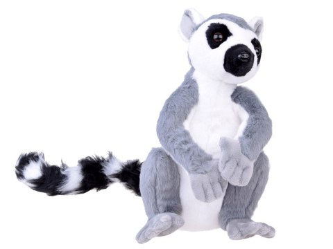 Maskotka duży pluszowy Lemur z Madagaskaru siedzący 27cm 14159 Maskotka duży pluszowy Lemur z Madagaskaru siedzący 27cm 14159