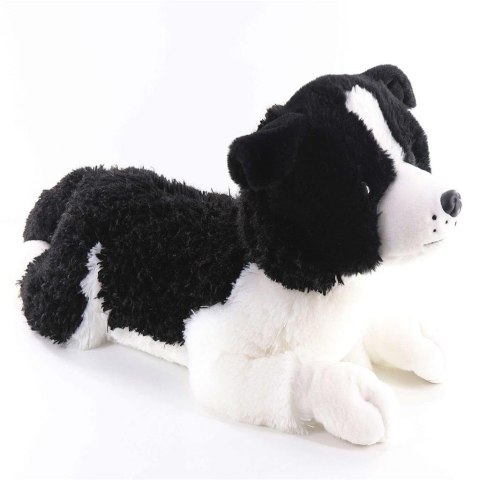 Maskotka pies Border Collie 60cm leżący Maskotka pies Border Collie 60cm leżący