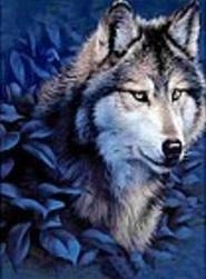 Mozaika diamentowa wilk 30x40cm
