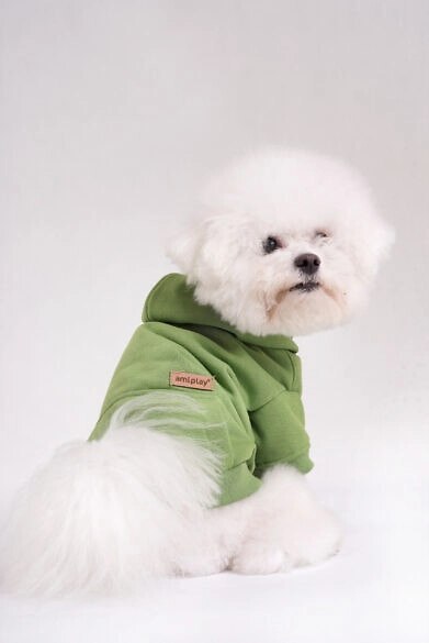 AMIPLAY Bluza Z Kapturem Texas Zielona 50cm AMIPLAY Bluza Z Kapturem Texas Zielona 50cm