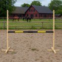 Przeszkoda skokowa do Hobby Horse 160cm, h-120 cm, belka czarno-złota