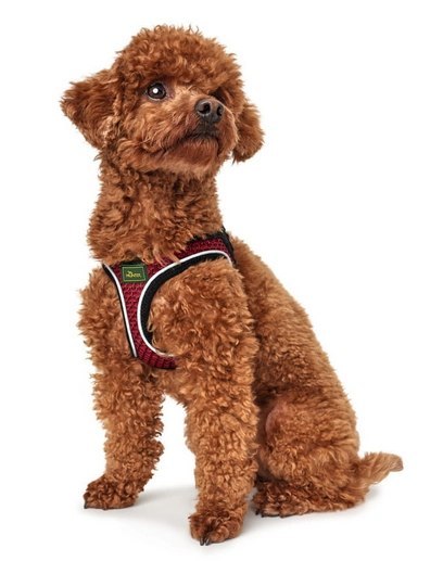 Hunter Hilo Comfort Szelki Dla Psa Czerwone Rozmiar S/M Hunter Hilo Comfort Szelki Dla Psa Czerwone Rozmiar S/M