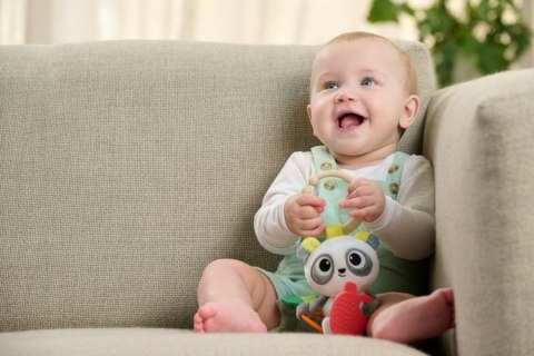 164851 GRZECHOTKA Z GRYZAKIEM PANDA