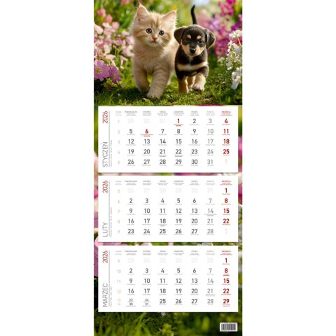 Kalendarz trójdzielny ekonomiczny PRZYJACIELE 2026 KS045B Wokół Nas Kalendarz trójdzielny ekonomiczny PRZYJACIELE 2026 KS045B Wokół Nas