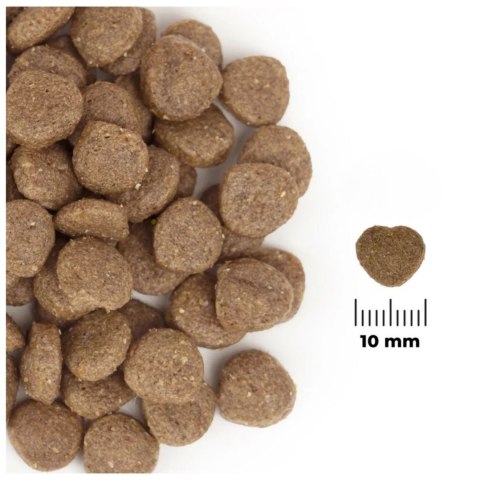 Comfy Appetit Vita Superfood Lamb 12kg - monobiałkowa karma dla psów dorosłych i szczeniąt Comfy Appetit Vita Superfood Lamb 12kg - monobiałkowa karma dla psów dorosłych i szczeniąt