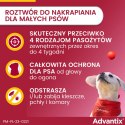 Bayer Advantix Krople Na Kleszcze I Pchły 1ml