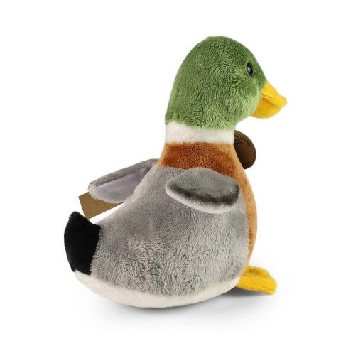 Rappa - Pluszowa realistyczna maskotka Kaczka Krzyżówka z dźwiękiem 22 cm Eco-Friendly Rappa - Pluszowa realistyczna maskotka Kaczka Krzyżówka z dźwiękiem 22 cm Eco-Friendly