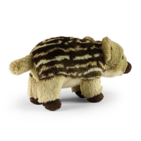 Rappa - Pluszowa realistyczna maskotka Młody Dzik 22 cm Eco-Friendly Rappa - Pluszowa realistyczna maskotka Młody Dzik 22 cm Eco-Friendly