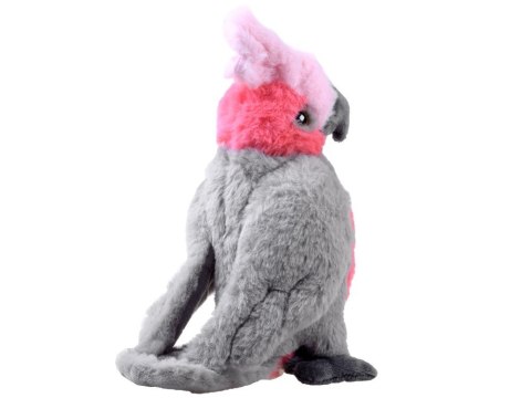 Maskotka pluszowa papuga różowa Kakadu 22cm 13841 Maskotka pluszowa papuga różowa Kakadu 22cm 13841