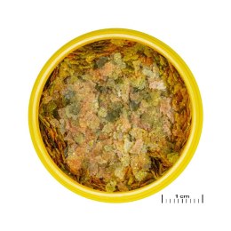 JBL PRONOVO BEL FLAKES S 100ML pokarm dla rybek akwariowych (3110136)