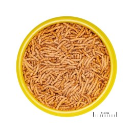 JBL PRONOVO BETTA INSECT STICK S 20ML pokarm dla rybek akwariowych sasz. (31170)