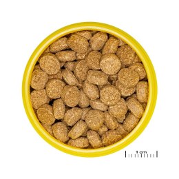 JBL PRONOVO CRABS WAFER M 100ML pokarm dla rybek akwariowych (31565)