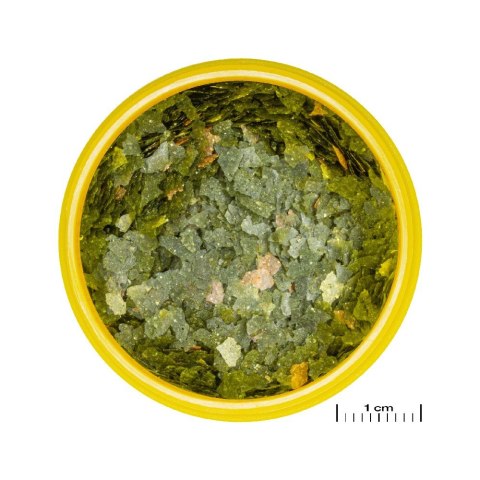 JBL PRONOVO GUPPY FLAKES S 100ML pokarm dla rybek akwariowych (31158)