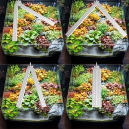 Kruger Meier VitaBeam V - lampa LED 23W do akwarium 80l - 120l