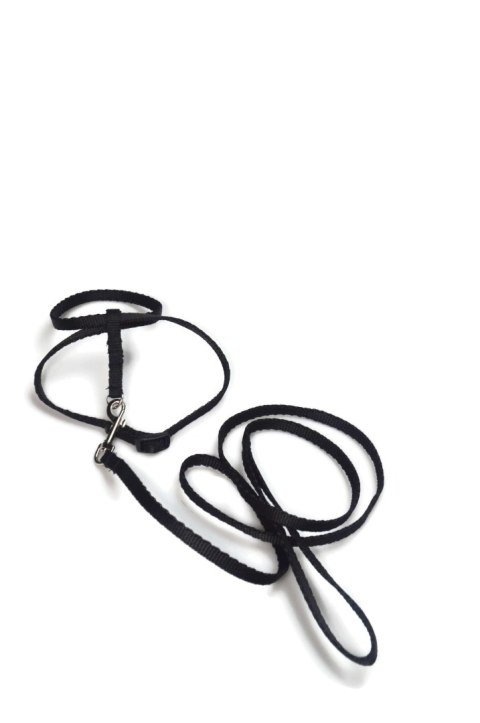 A-057 KOMPLET DLA GRYZONI A-057 KOMPLET DLA GRYZONI