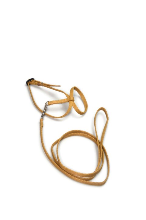 A-057 KOMPLET DLA GRYZONI A-057 KOMPLET DLA GRYZONI