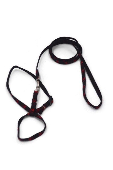 A-189 Komplet dla gryzoni Łapki A-189 Komplet dla gryzoni Łapki