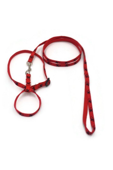 A-189 Komplet dla gryzoni Łapki A-189 Komplet dla gryzoni Łapki