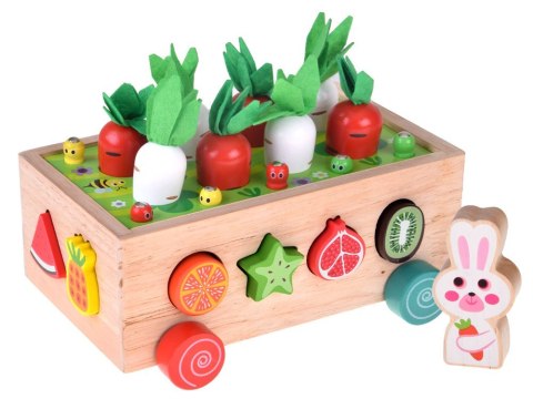 Sorter Montessori drewniany wózek złap robaczka marchewki układanka ZA5903