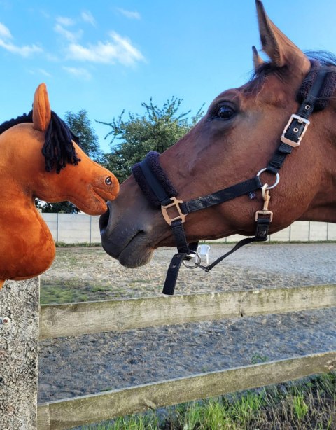 Hobby Horse Duży koń na kiju Premium - jasnogniady A3 Hobby Horse Duży koń na kiju Premium - jasnogniady A3