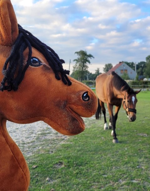 Hobby Horse Duży koń na kiju Premium - jasnogniady A3 Hobby Horse Duży koń na kiju Premium - jasnogniady A3