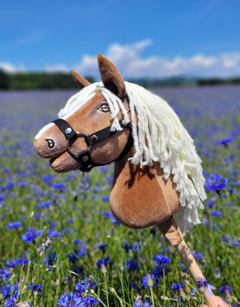Hobby Horse Mały koń na kiju Premium - haflinger A4 Hobby Horse Mały koń na kiju Premium - haflinger A4