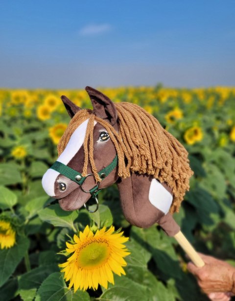 Hobby Horse Mały koń na kiju Premium - western ciemnogniady z ciemną grzywą A4 Hobby Horse Mały koń na kiju Premium - western ciemnogniady z ciemną grzywą A4