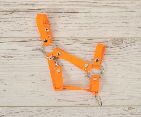 Kantar regulowany dla konia Hobby Horse A3 - neon orange Kantar regulowany dla konia Hobby Horse A3 - neon orange