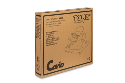 CHODZIK CARIO GRAPHITE CHODZIK CARIO GRAPHITE